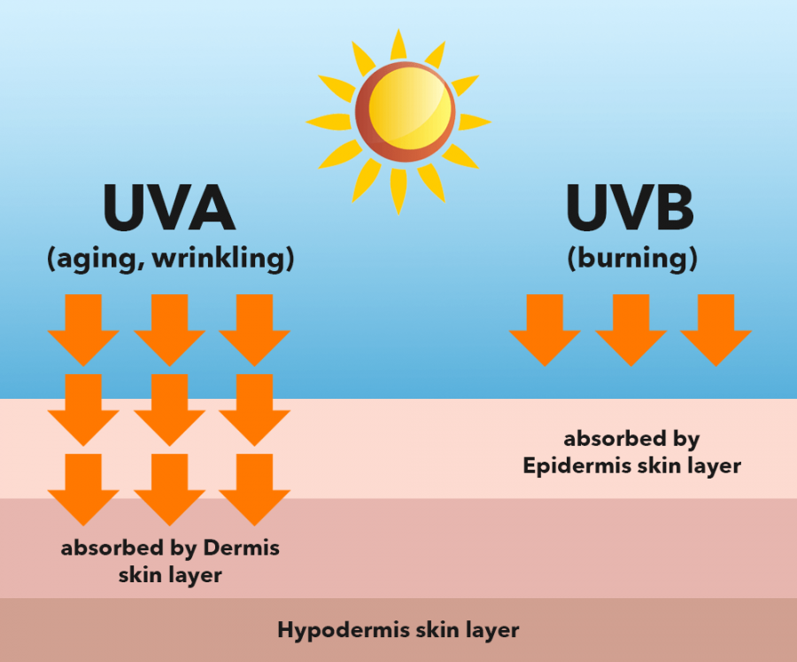 Tia UVA và UVB Là Gì? Tác Hại Của Tia UV Đối Với Da