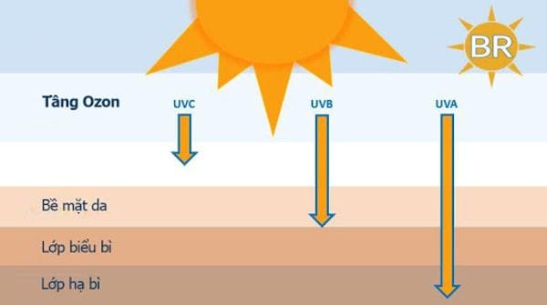 Những sự thật về tia UV mà bạn dễ bị lầm tưởng
